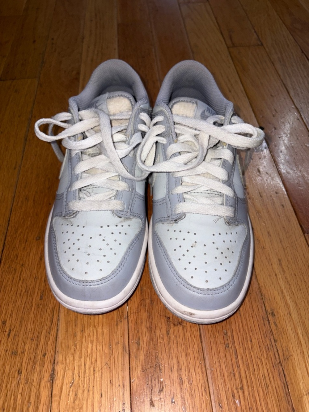 Kids Nike Dunk Gray Sneakers